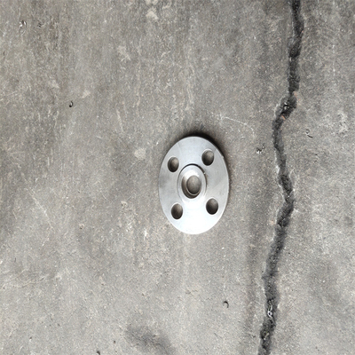 Pipe Din Pn16 แผ่นครีบ Carbon Steel Forging